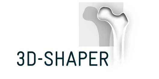 3D Shaper